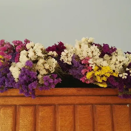 Paris Spacious Beach *