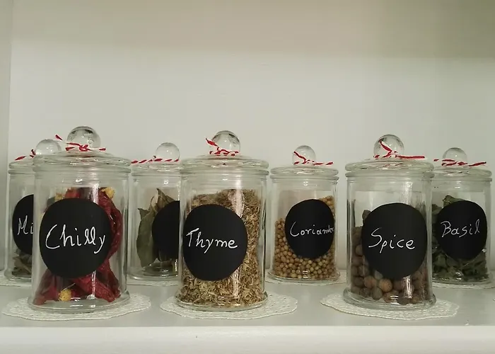 Paris Spacious Beach *