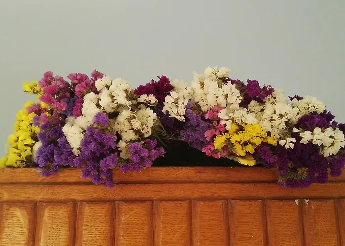 Paris Spacious Beach *